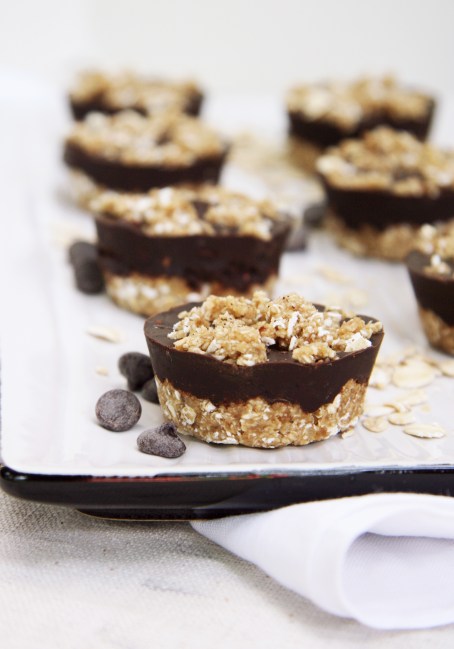 No-Bake Oat Fudge Bites or Bars