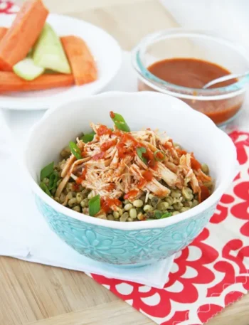 Crockpot Shredded Chicken