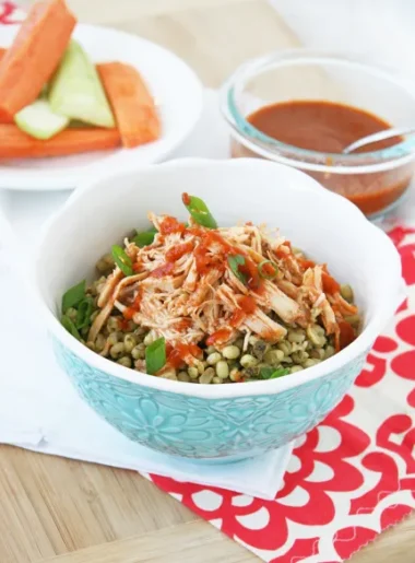 Crockpot Shredded Chicken
