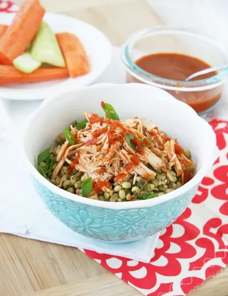 Crockpot Shredded Chicken
