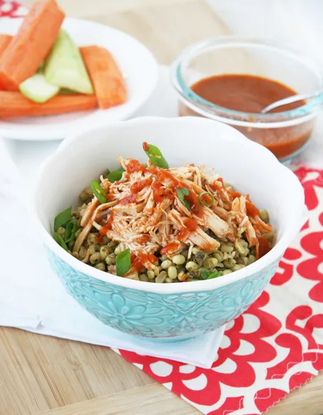 Crockpot Shredded Chicken